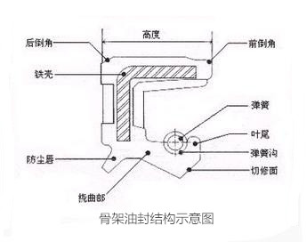 骨架油封結(jié)構(gòu)示意圖